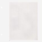 Standard pages quadrilled (20 pcs.)