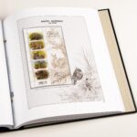 Luxe supplement Belgie Buzin 2013-2014