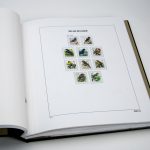 Luxe pages Belgium PRE