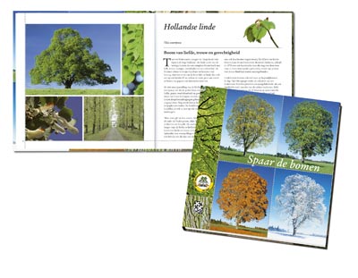 Themebook Spaar de bomen (19)