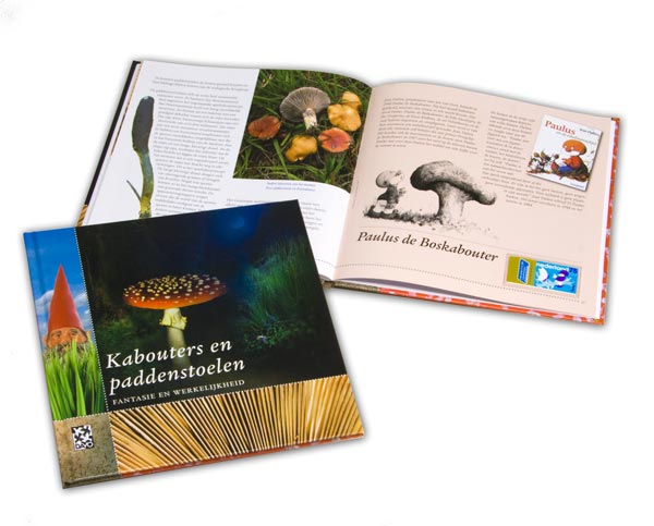 Themebook Kabouters en paddenstoelen (22)