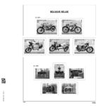 Luxe supplement Belgium stamps from blocks 2024