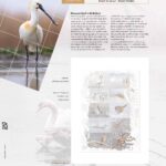 Luxe supplement Netherlands illustrated 2023