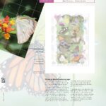 Luxe supplement Netherlands illustrated 2024