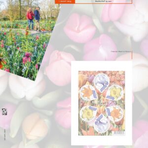 Luxe suppl. Ned. velletjes geïllustreerd verzamelen 2024